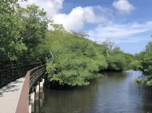 Reliable Roofing Contractor in Wilton Manors FL Wilton Manors roofing contractor (1)